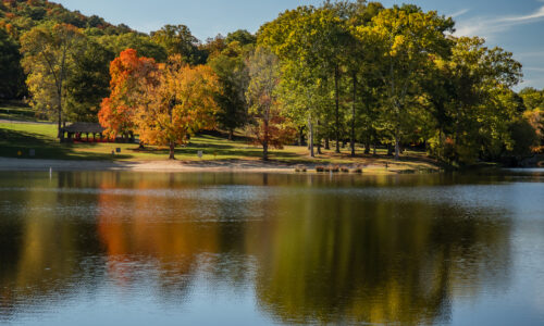 Lake and trees