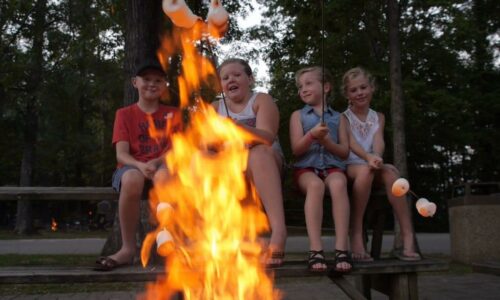 Kids Roasting Marshmallows Around a Fire pit