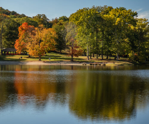 Lake and trees