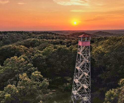 View of the fire tower surrounded by the forest