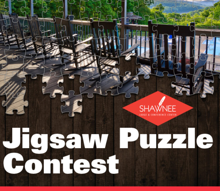 Jigsaw Puzzle Content February 2022
