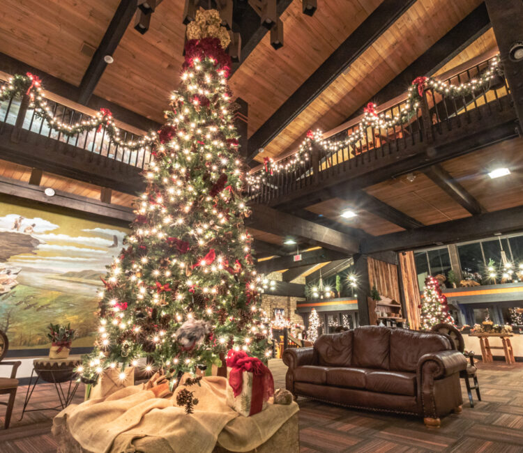 Christmas Tree at Shawnee Lodge