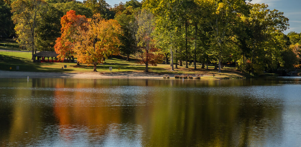 Lake and trees