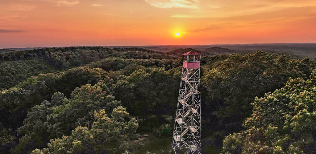 View of the fire tower surrounded by the forest