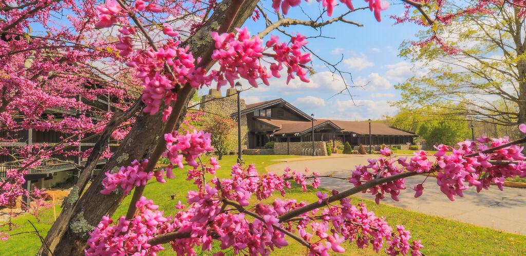 Spring flowers in front of the lodge