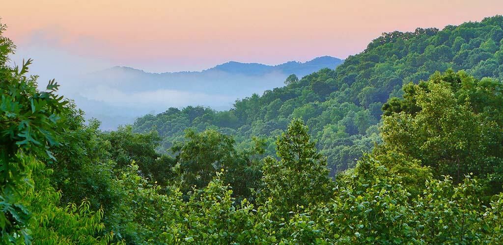 Shawnee State Park in the mist