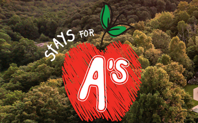 Aerial View of Shawnee Lodge and Outdoor Pool with Stays for A's graphic