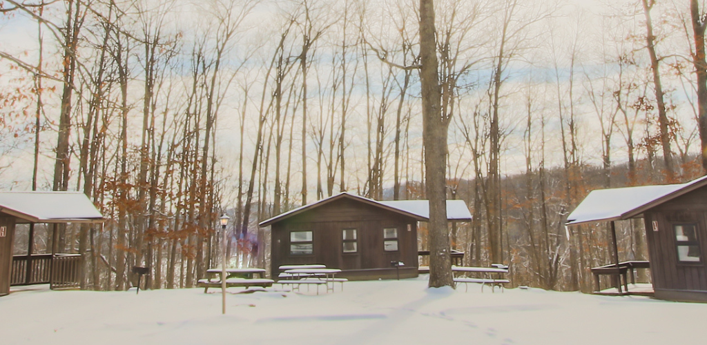 Cabins in the winter